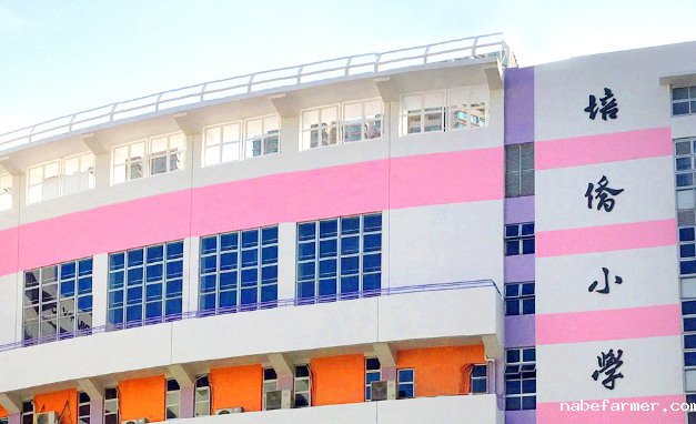1743145477731827.png 香港培侨小学怎么样?培侨小学简介