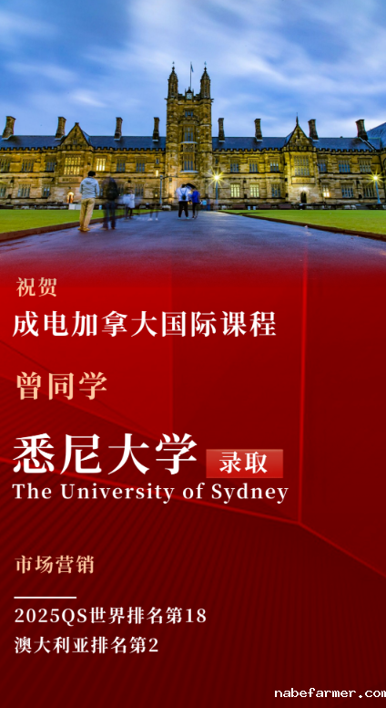 1746501617240418.png 学子风采|不止高分,更有舞台与友谊