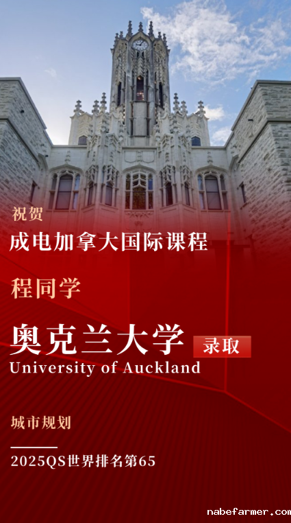 1746501661846787.png 学子风采|不止高分,更有舞台与友谊