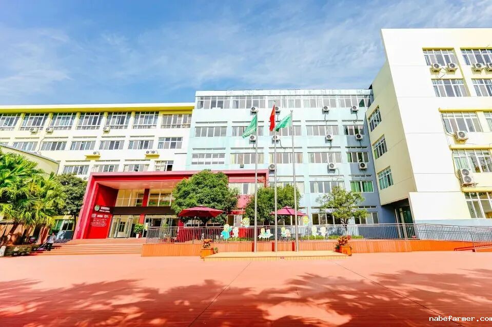 1756447789336951.jpg 2026成都市龙泉驿区青苗学校学费信息