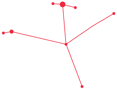 感恩节学生特辑 | 我在IVY度过的第一个感恩节