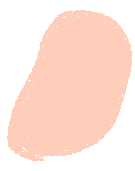 成都协同教育集团CCIS  Grade 9 Science