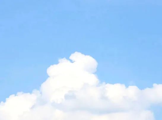 成都为明国际部澳洲大学访校研学之旅