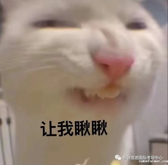 2024QS排名TOP100院校对雅思成绩有什么要求?