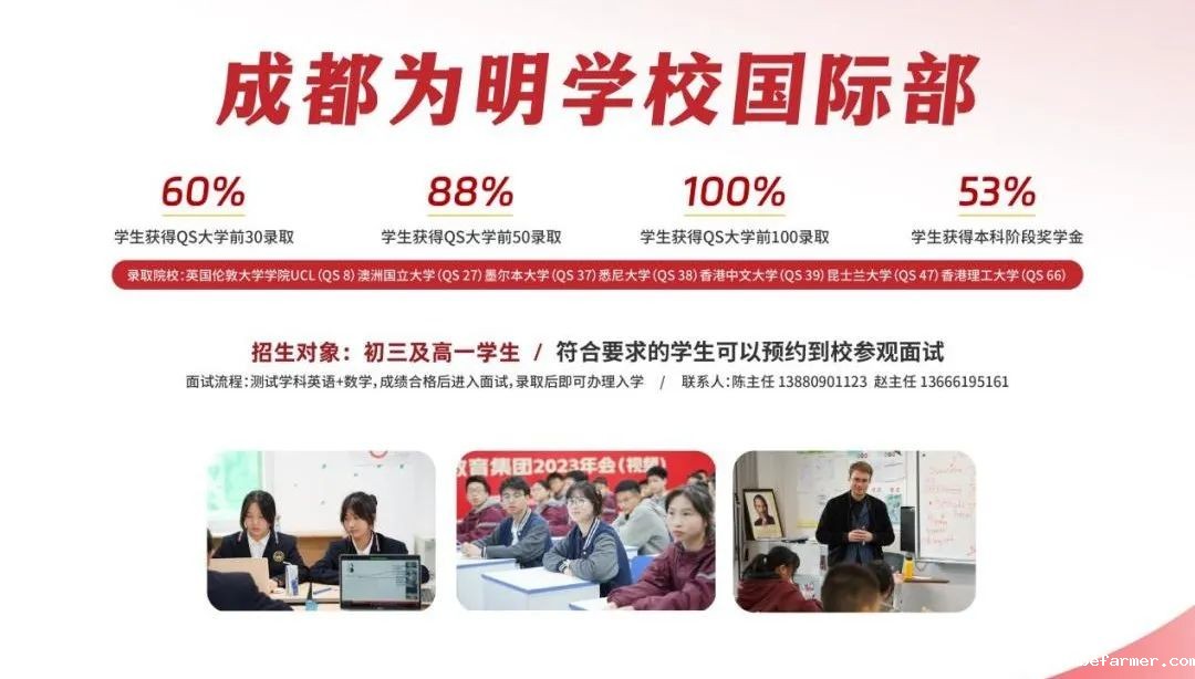 重磅!选调向留学生开放,海外名校学历优势来了!