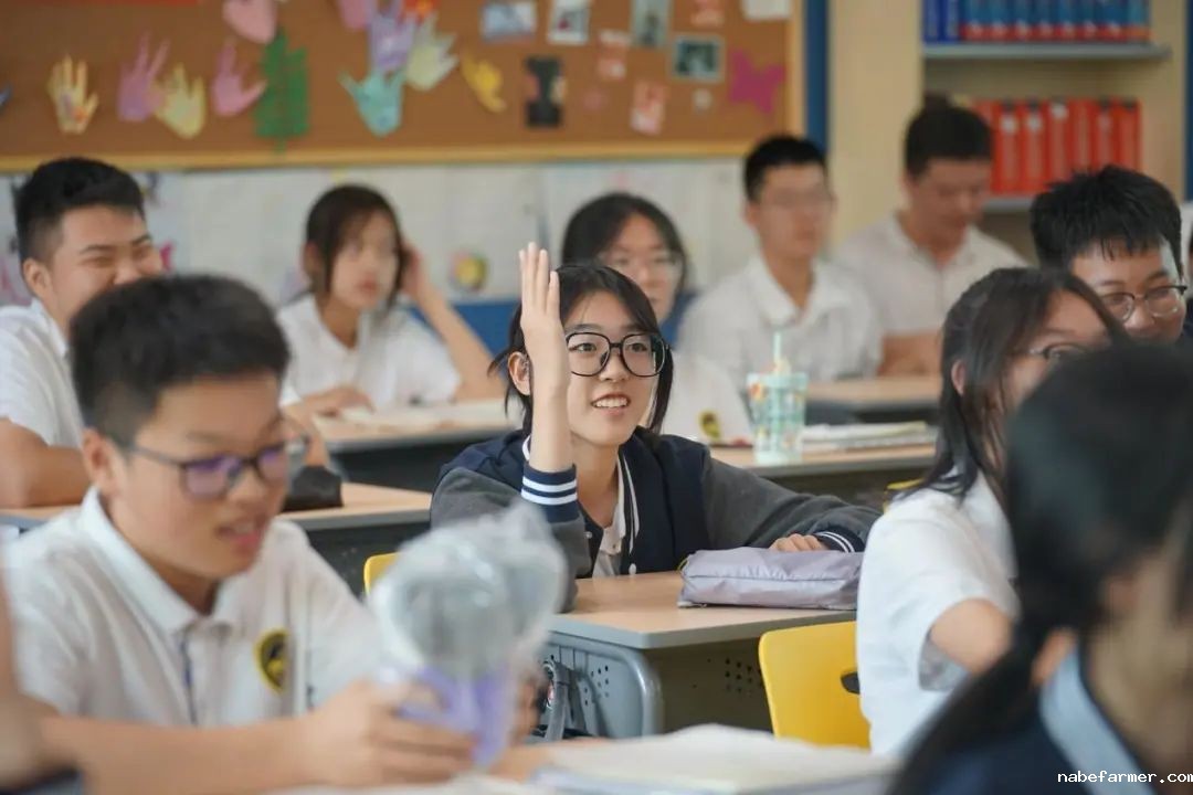 重磅!选调向留学生开放,海外名校学历优势来了!