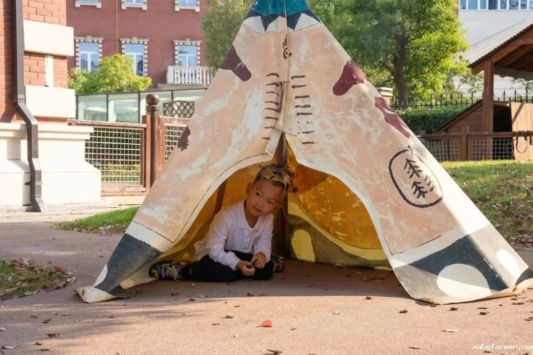 “黑森林”中的学习与探索之旅 | 彻底解决儿童分离焦虑