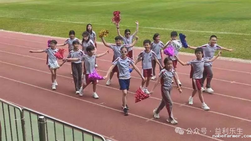 漢鼎事 | 少年無畏,活力飛揚——記2024 漢鼎春季運動會