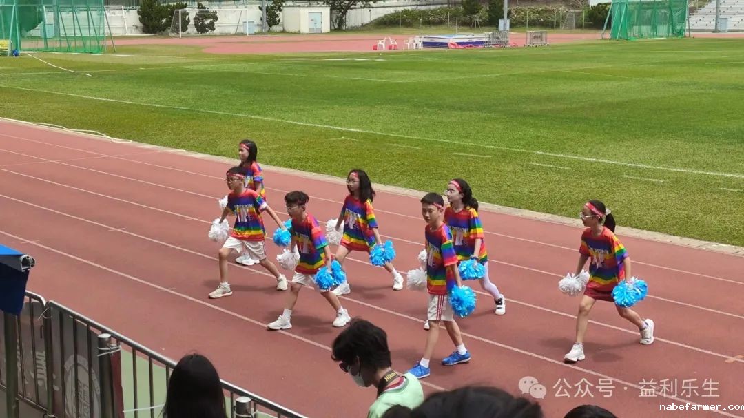漢鼎事 | 少年無畏,活力飛揚——記2024 漢鼎春季運動會