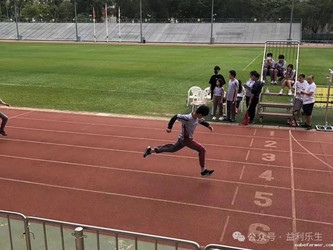 漢鼎事 | 少年無畏,活力飛揚——記2024 漢鼎春季運動會