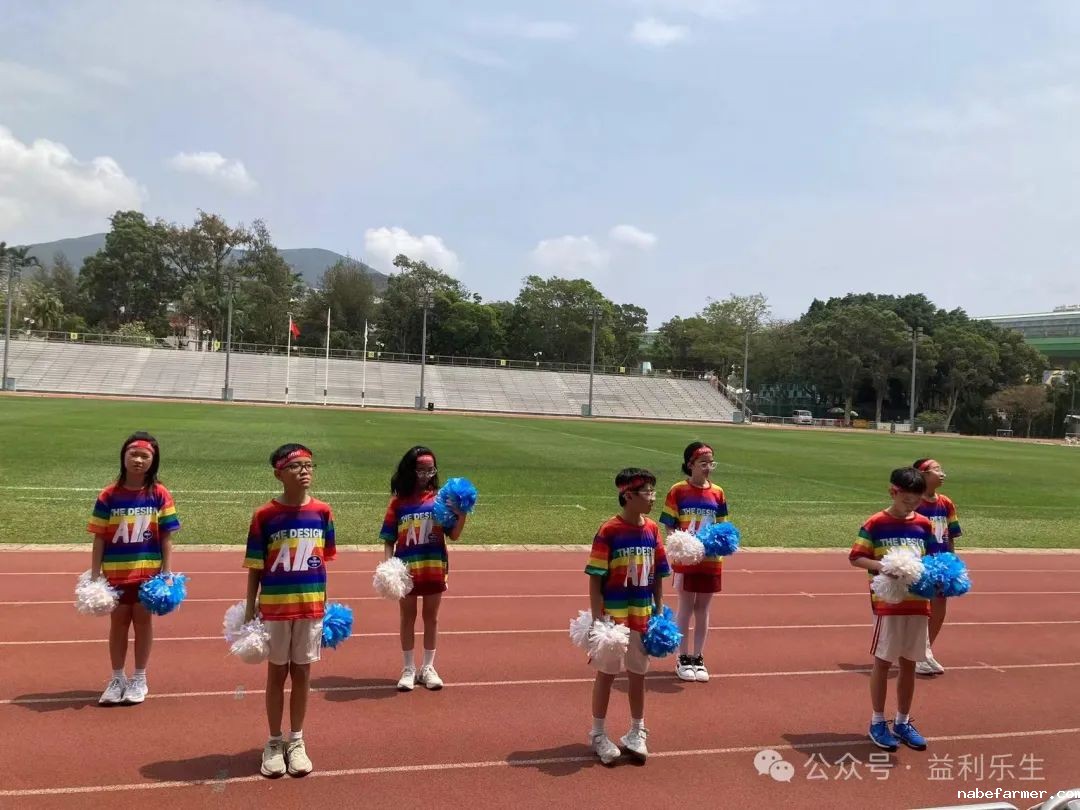 漢鼎事 | 少年無畏,活力飛揚——記2024 漢鼎春季運動會