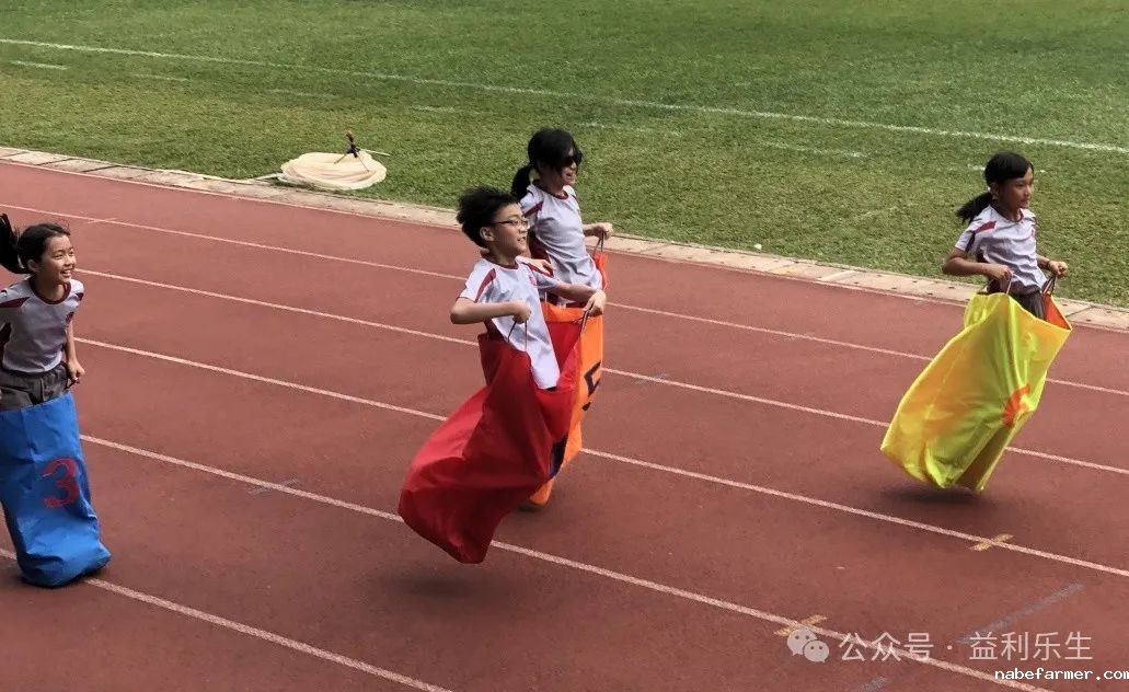漢鼎事 | 少年無畏,活力飛揚——記2024 漢鼎春季運動會