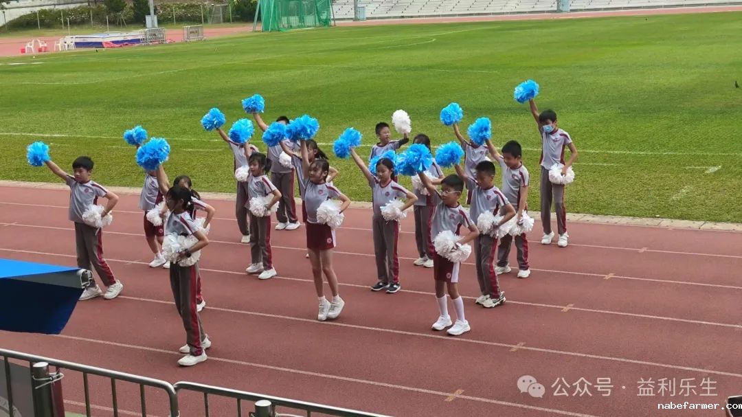 漢鼎事 | 少年無畏,活力飛揚——記2024 漢鼎春季運動會