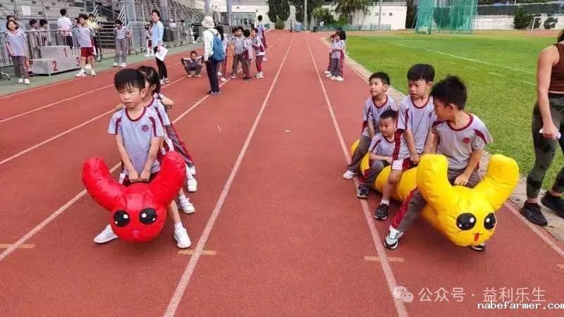 漢鼎事 | 少年無畏,活力飛揚——記2024 漢鼎春季運動會
