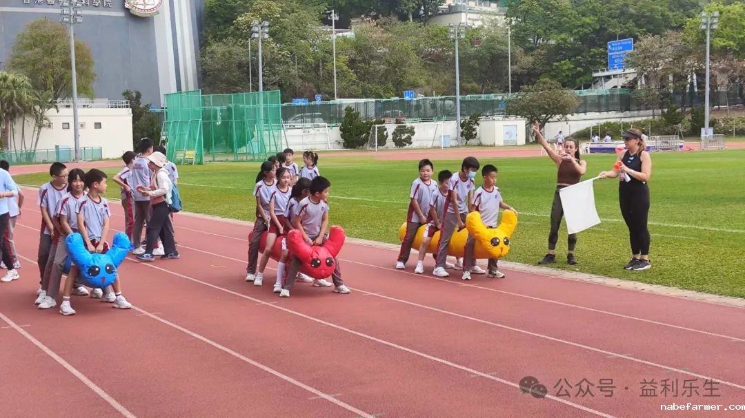 漢鼎事 | 少年無畏,活力飛揚——記2024 漢鼎春季運動會