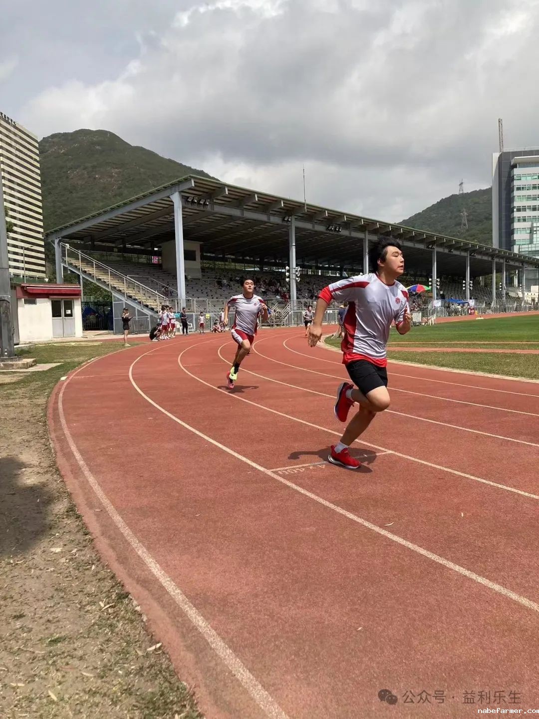 漢鼎事 | 少年無畏,活力飛揚——記2024 漢鼎春季運動會
