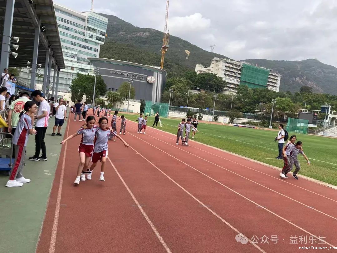 漢鼎事 | 少年無畏,活力飛揚——記2024 漢鼎春季運動會