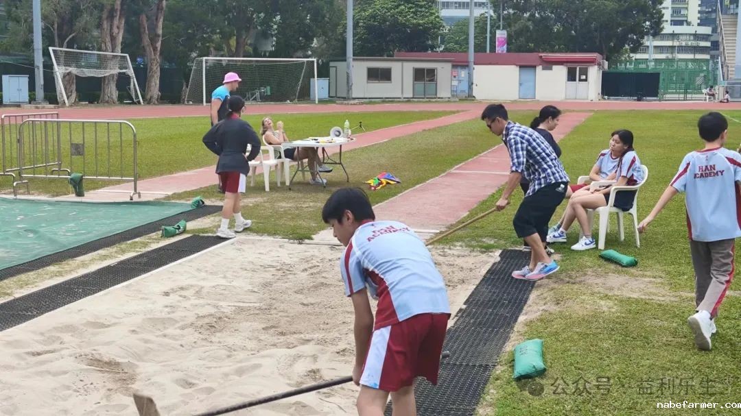 漢鼎事 | 少年無畏,活力飛揚——記2024 漢鼎春季運動會