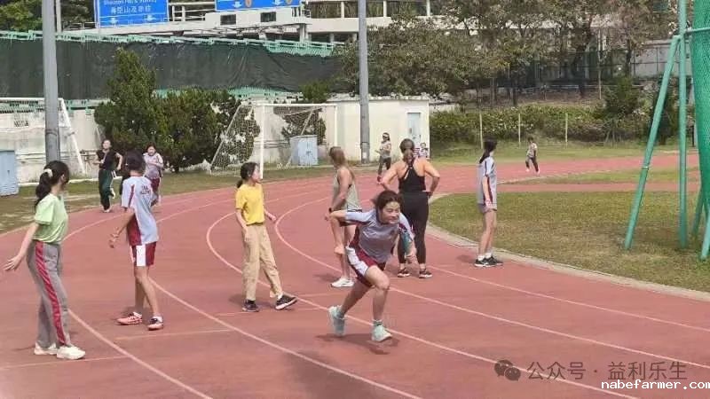 漢鼎事 | 少年無畏,活力飛揚——記2024 漢鼎春季運動會