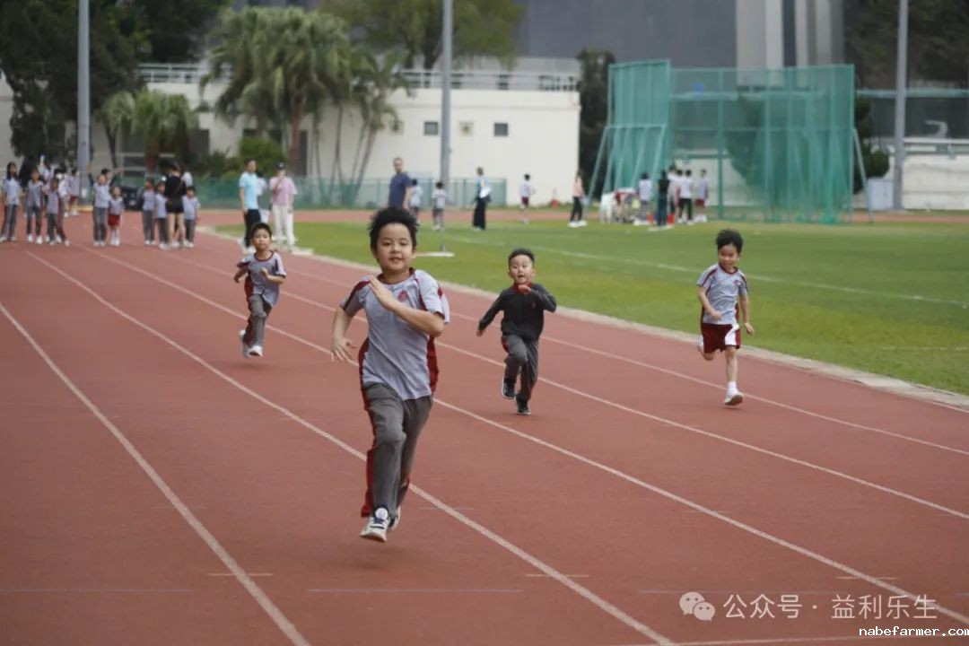 漢鼎事 | 少年無畏,活力飛揚——記2024 漢鼎春季運動會