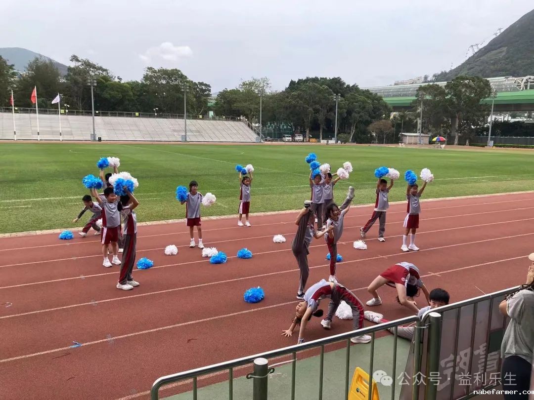 漢鼎事 | 少年無畏,活力飛揚——記2024 漢鼎春季運動會