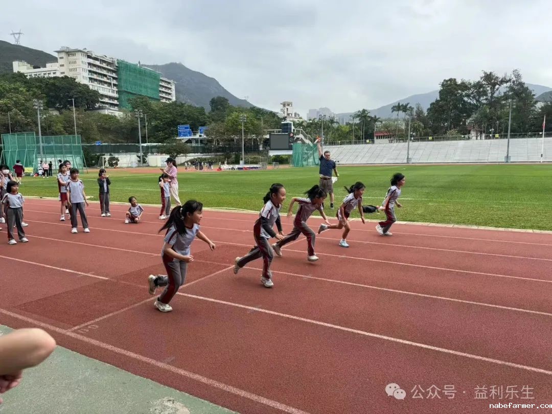 漢鼎事 | 少年無畏,活力飛揚——記2024 漢鼎春季運動會