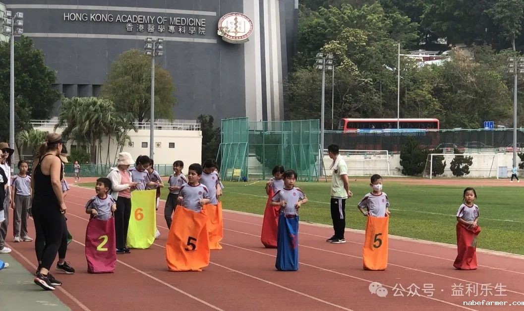 漢鼎事 | 少年無畏,活力飛揚——記2024 漢鼎春季運動會