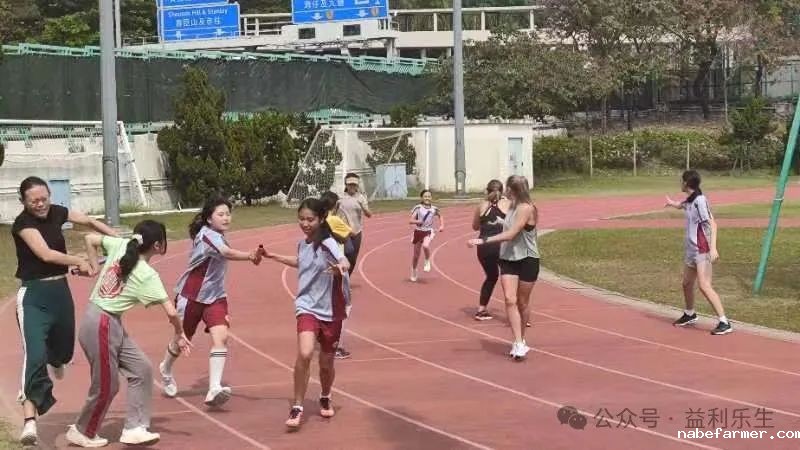 漢鼎事 | 少年無畏,活力飛揚——記2024 漢鼎春季運動會
