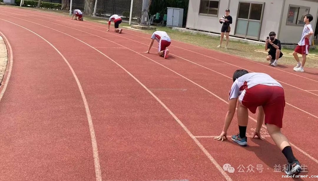 漢鼎事 | 少年無畏,活力飛揚——記2024 漢鼎春季運動會