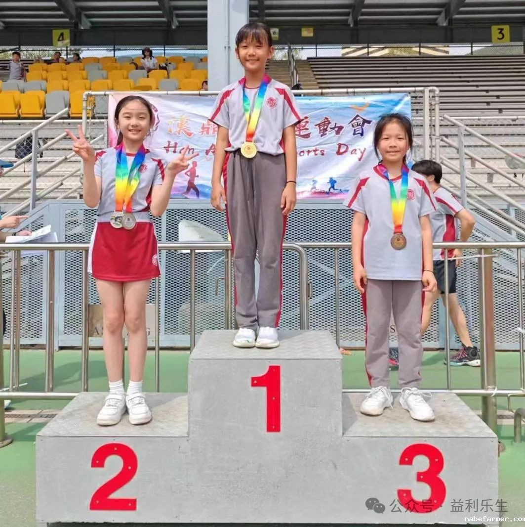 漢鼎事 | 少年無畏,活力飛揚——記2024 漢鼎春季運動會
