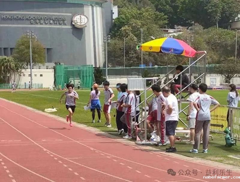 漢鼎事 | 少年無畏,活力飛揚——記2024 漢鼎春季運動會