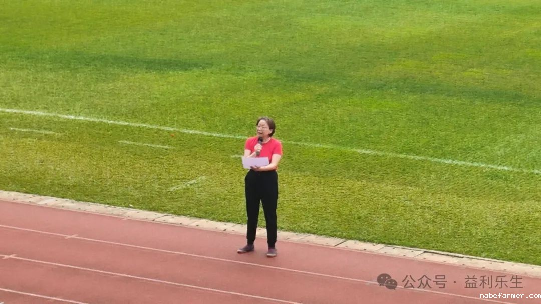 漢鼎事 | 少年無畏,活力飛揚——記2024 漢鼎春季運動會