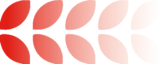 International competition achievements丨国际竞赛捷报频传!MIS展现卓越学术实力