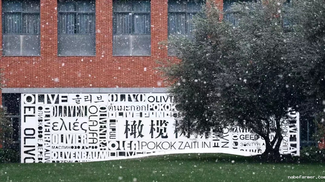 最后一波!!6月杭州还在招生的国际高中,切勿错失时机!!