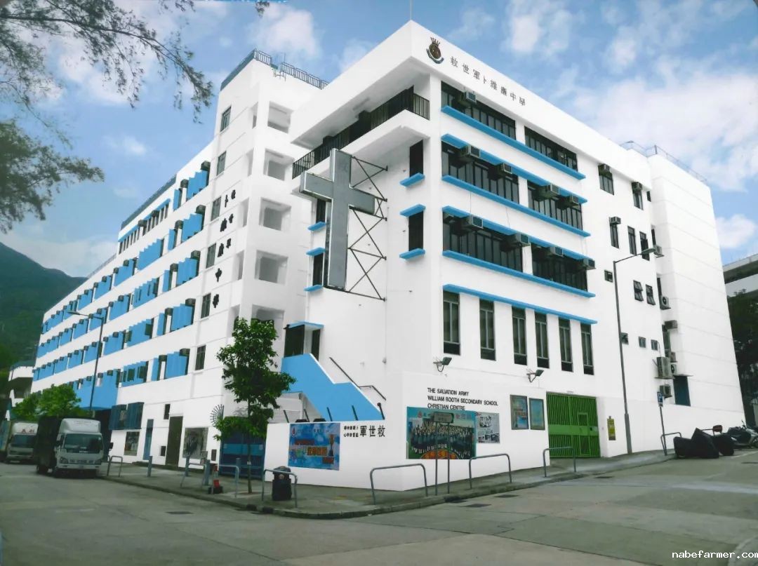 香港暑期访校研学第三站:解锁香港本地文化课程,感受户外运动的丰富魅力!