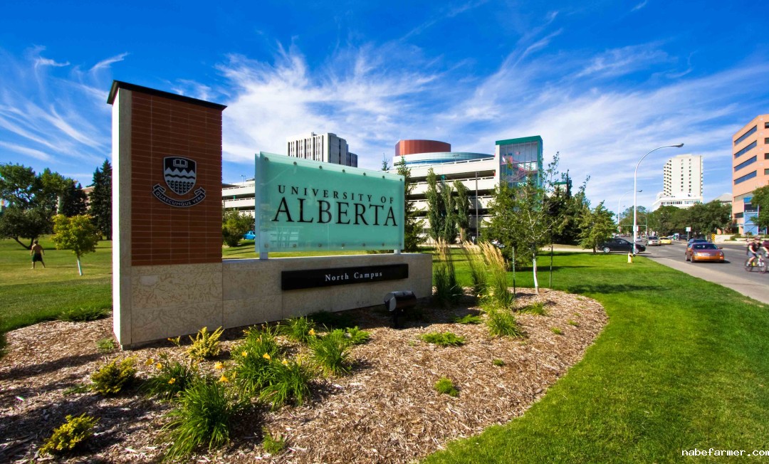 QS排名全球前100,加拿大阿省综合实力最强,阿尔伯塔大学好申请吗?