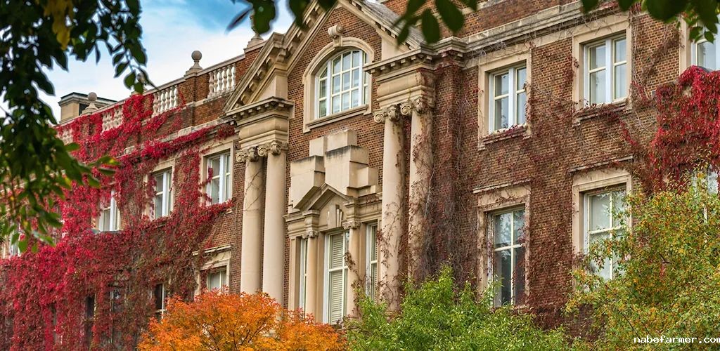 QS排名全球前100,加拿大阿省综合实力最强,阿尔伯塔大学好申请吗?