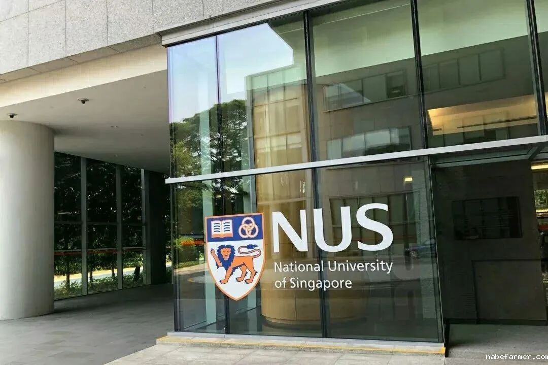 FLA中学部 | 冬日魔法学院,开启你的2025海外奇幻之旅