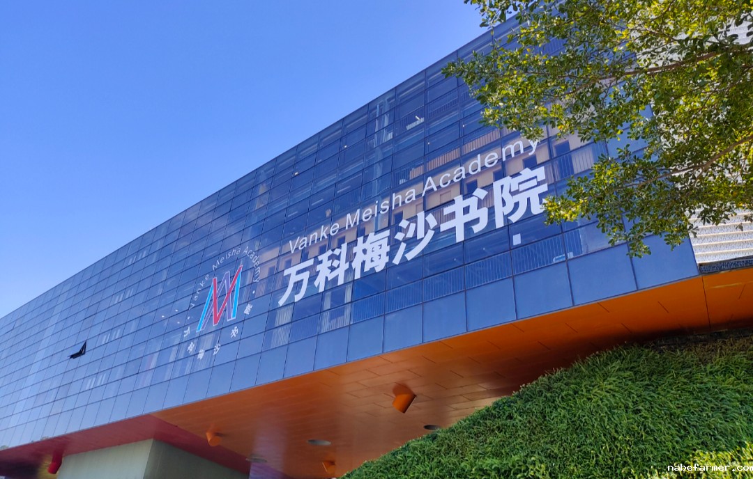 火爆!2024深圳国际学校冬令营名单汇总来啦!要报名的抓紧冲!