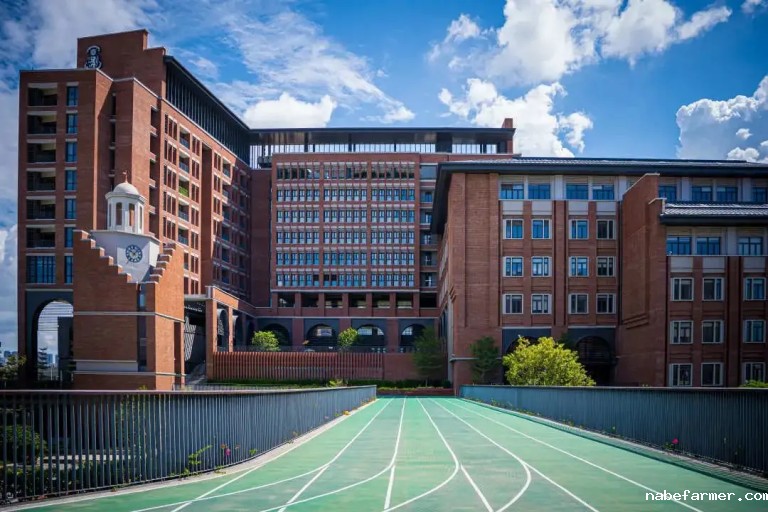 火爆!2024深圳国际学校冬令营名单汇总来啦!要报名的抓紧冲!
