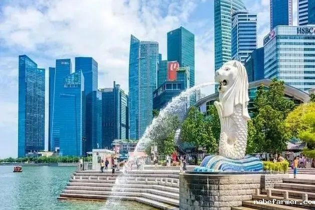 FLA中学部 | 冬日魔法学院,开启你的2025海外奇幻之旅