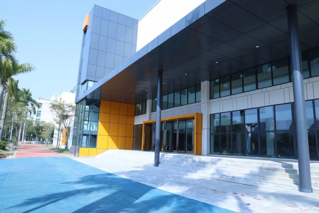 火爆!2024深圳国际学校冬令营名单汇总来啦!要报名的抓紧冲!