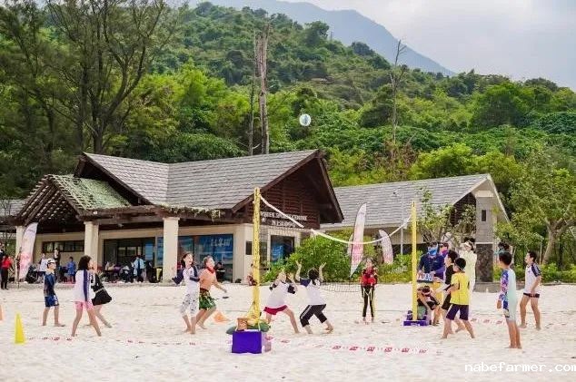 FLA中学部“冬日戏梦,海岛奇遇”——梦想与探索的成长之旅