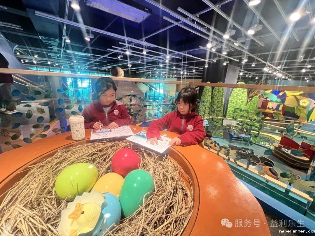 漢鼎課|戶外學習:小學生探秘沙田文化博物館之兒童探知館