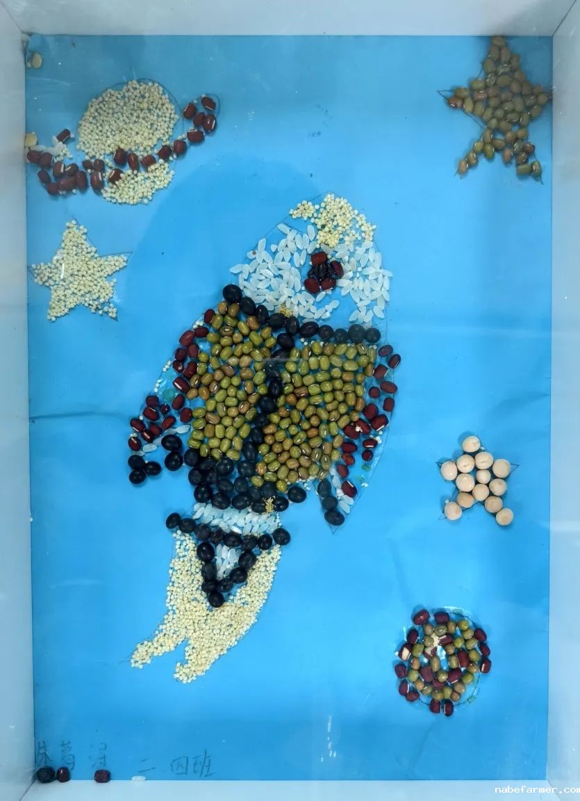 劳动颂歌丨学田里的创意与成长