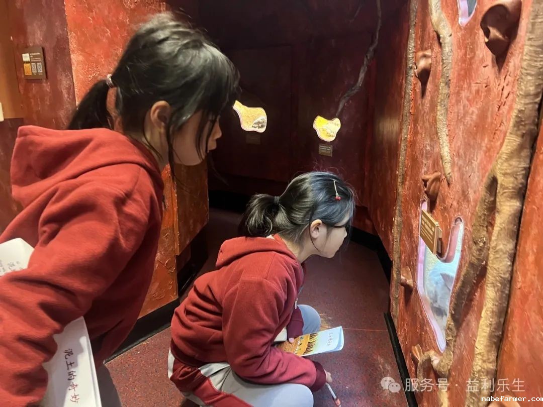漢鼎課|戶外學習:小學生探秘沙田文化博物館之兒童探知館