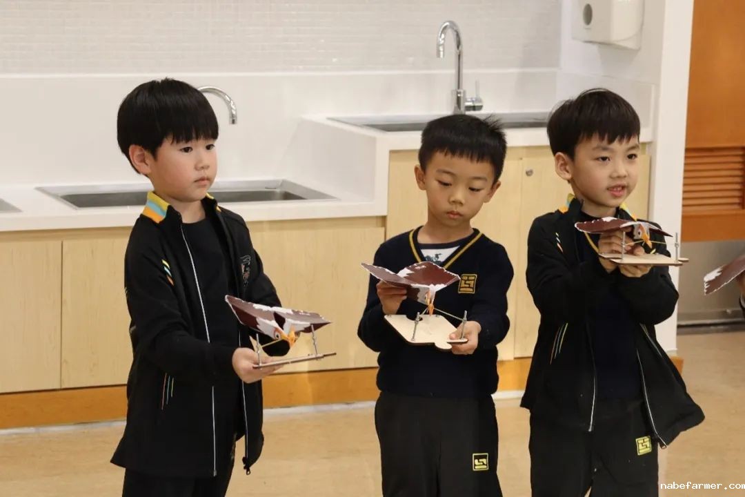 笃学、互通、善新:惠灵顿课外课程学院报名即将开启!