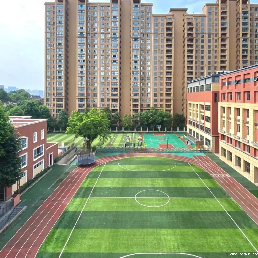 荣誉时刻︱校长颁奖:《雷雨》戏剧&《才艺秀》