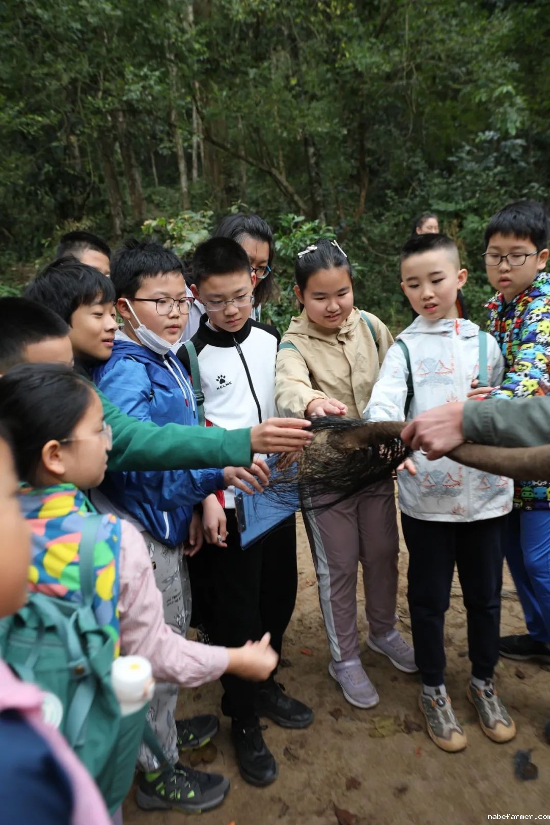 FLA小学部暑期营|这个夏天双营 带你玩转世界