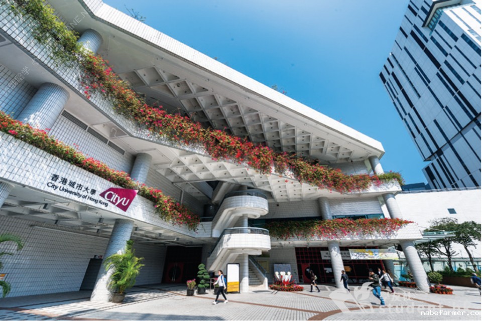香港留学|“港前五”工程学院本硕专业整理汇总